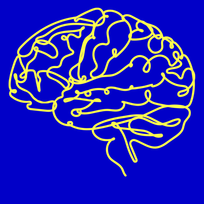 Yellow Brain Icon on Blue Background