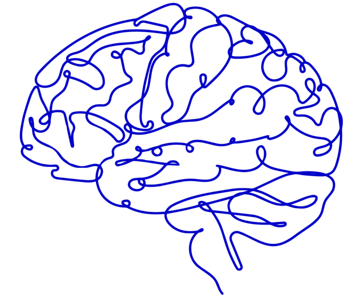 Blue brain Icon